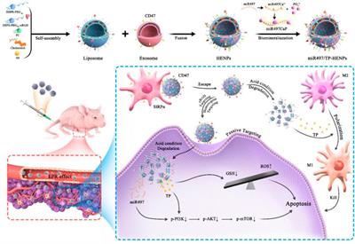 New trends in diagnosing and treating ovarian cancer using nanotechnology